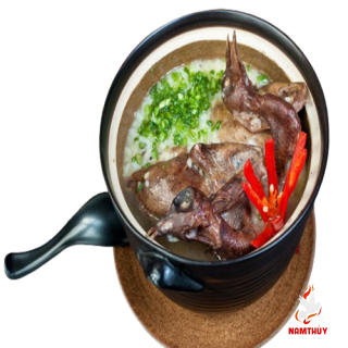 Cháo Chim Bồ Câu