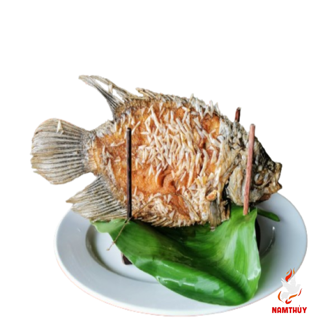 Cá Tai Tượng Chiên Xù 