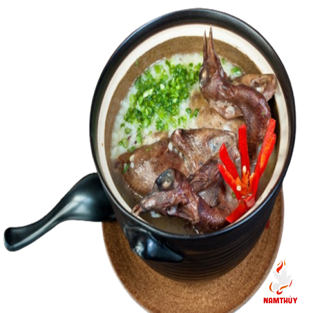 Cháo Chim Bồ Câu