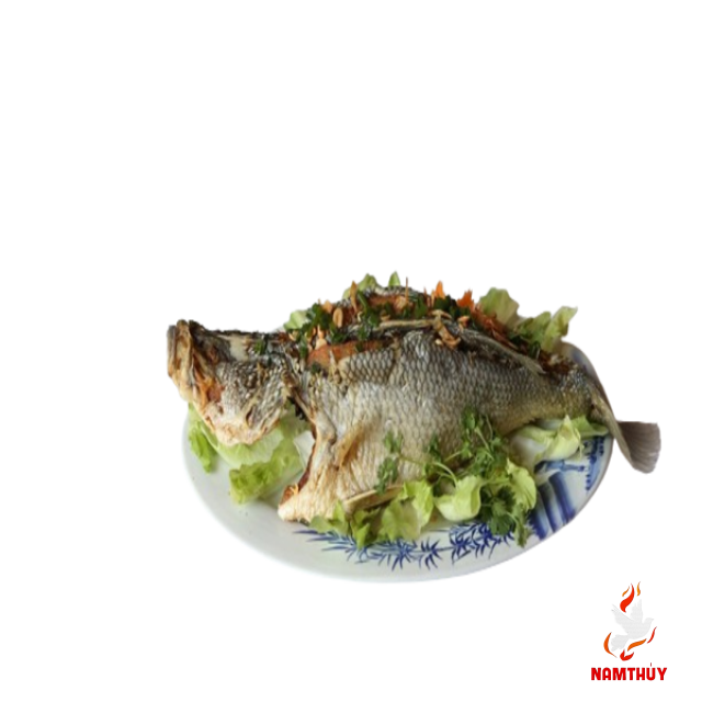 Cá Chẽm Chiên Xù 